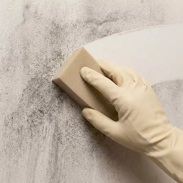 Smoke Cleaning in Quincy, MA 