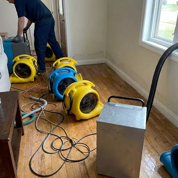 Water Mitigation Services in Quincy, MA