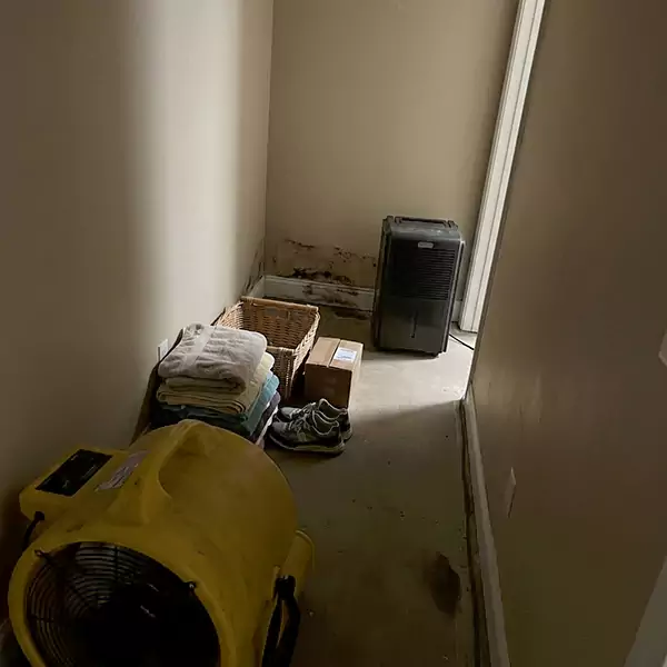 Expert Water Remediation in Quincy, MA 